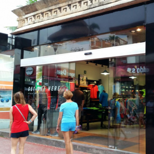 Sistema Automatico Lineal RYOBI